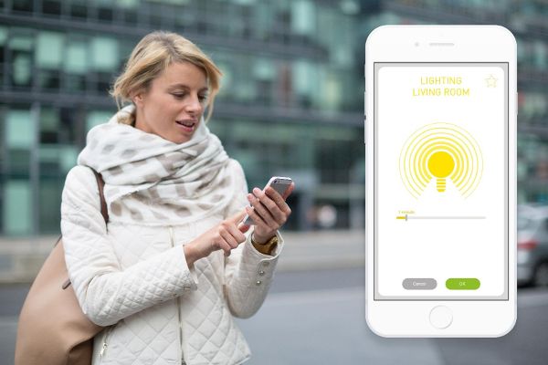 check remotely lights izymo